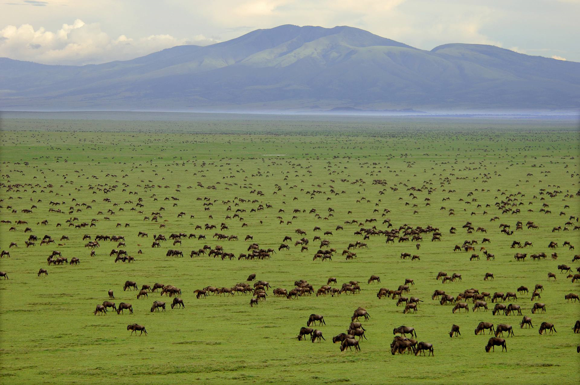 Tanzania
