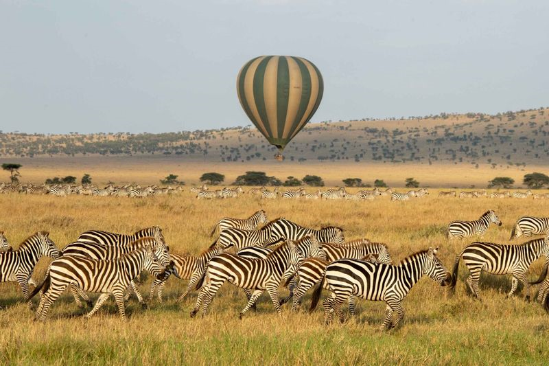 Tanzania — Serengeti, Ngorongoro and Kilimanjaro