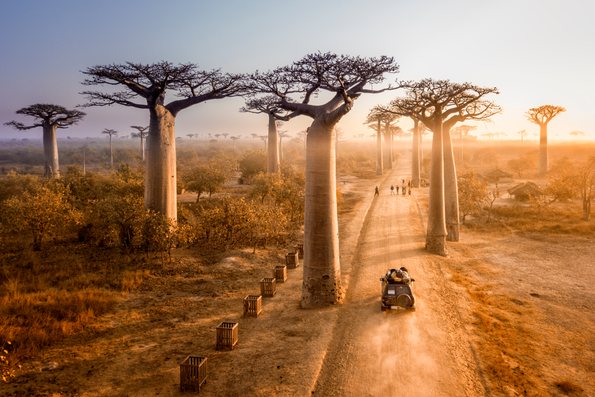 Madagascar Discovery