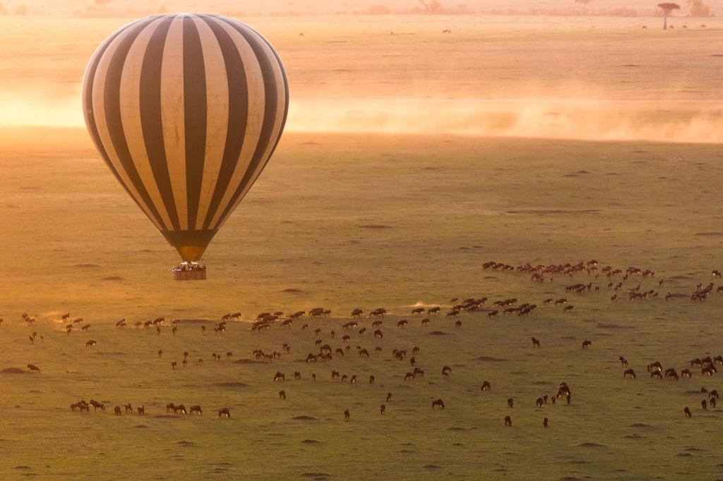 Serengeti Incentive: Plains & Balloons